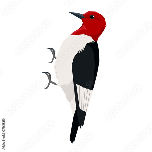 Red headed woodpecker Birds collection Vector illustration Isolated object