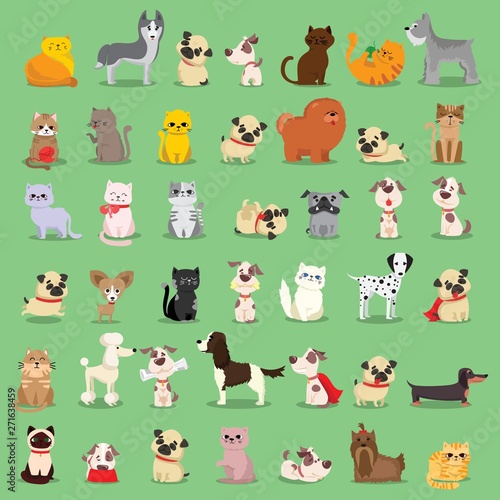 Vector illustration set of cute and funny cartoon pet characters. Different breed of dogs and cats in the flat style