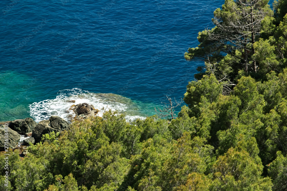 Seascape near the Cinque Terre, in Liguria, Framura, Italy. A blue sea with sheer mountains. Mediterranean trees and vegetation.