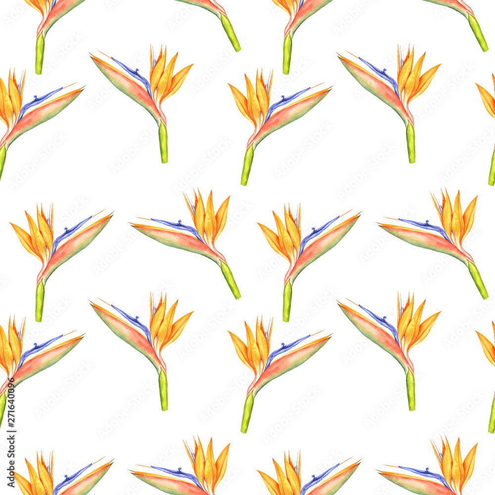 seamless pattern with Strelitzia reginae flowers