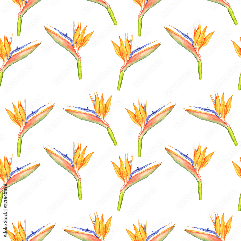 seamless pattern with Strelitzia reginae flowers seamless pattern with Strelitzia reginae flowers