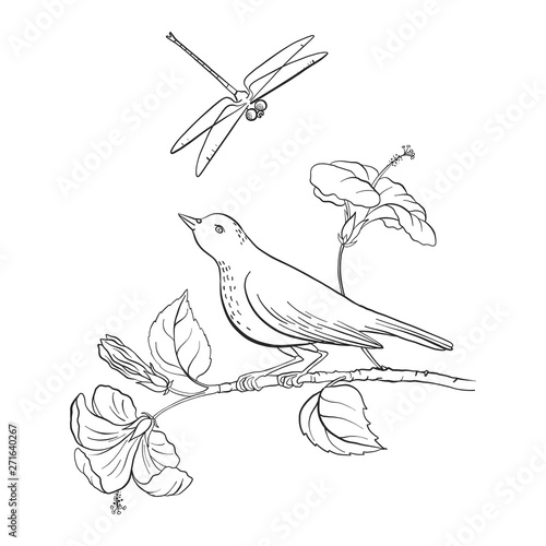 bird at tree branch