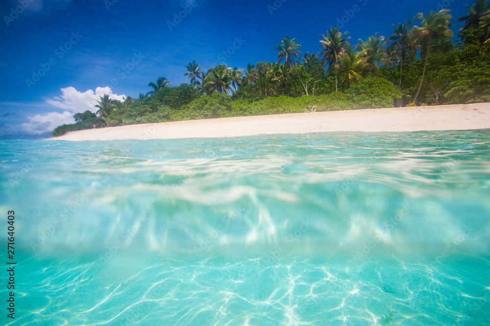 Landscape at the Fiji Islands, Oceania