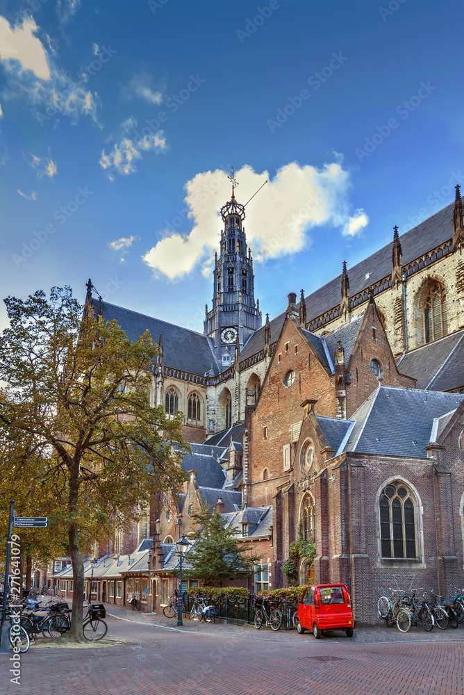 Fototapeta premium Church of Saint Bavo, Haarlem, Netherlands