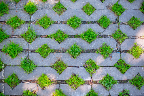 Concrete brick pathway on green grass
