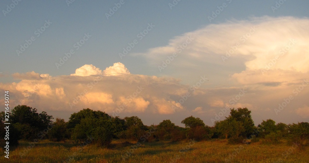 unusual clouds over the forest at sunset unusual clouds over the forest at sunset