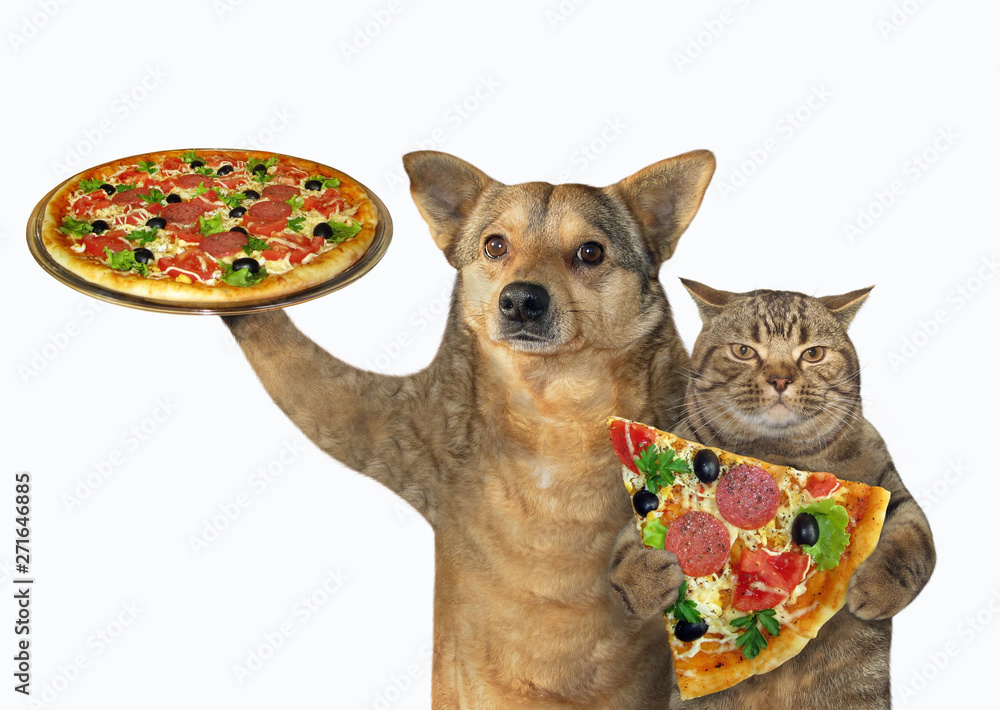 Cat ate store pizza