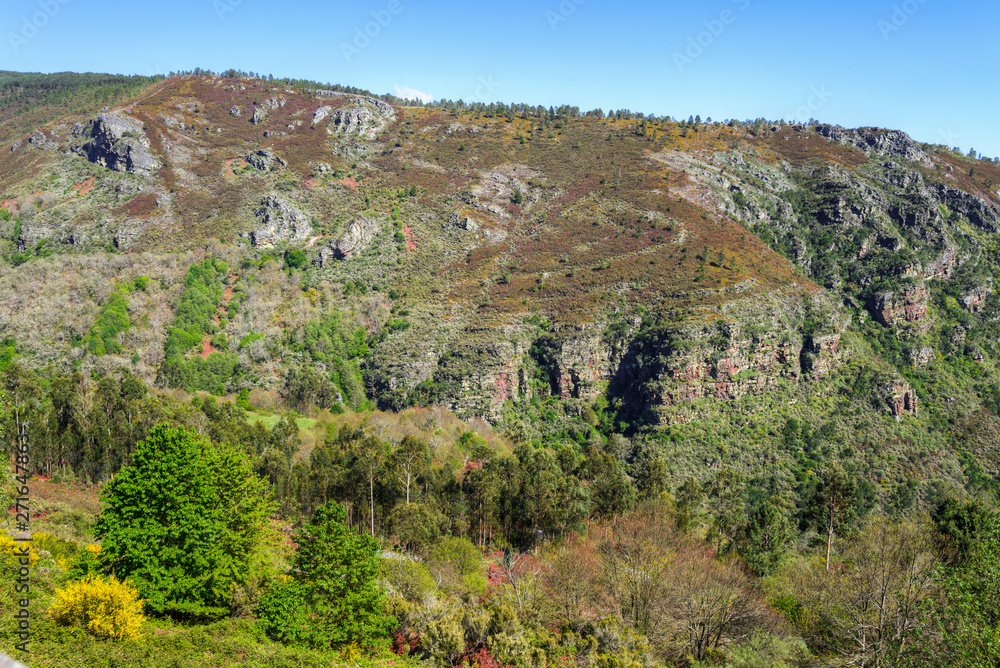Tectonic folds in the slate cliffs of the geopark O Courel