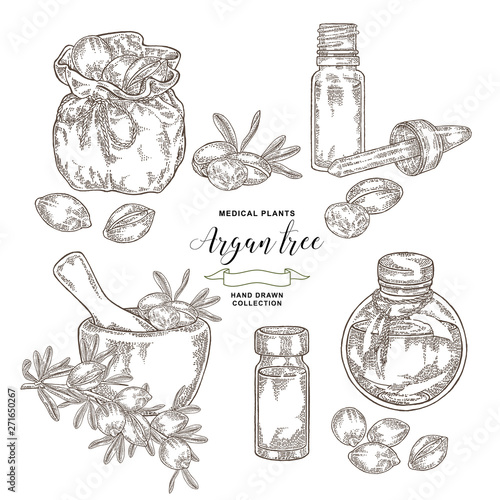 Argan tree, argania spinosa set. Nuts, leaves, wooden bowl, glass bottle of oil and rustic bag. Medical and cosmetic plants. Vector illustration engraved.