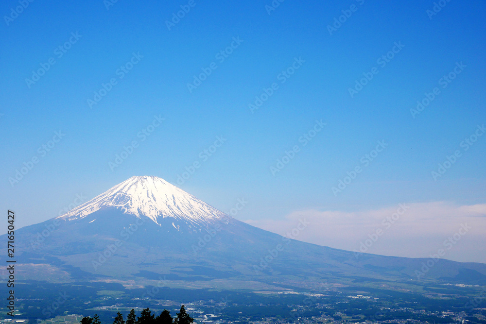 富士山、静岡、日本、景色