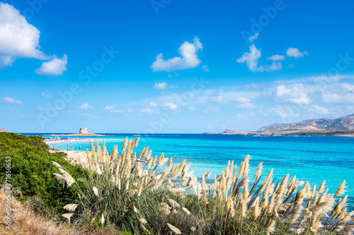 Spiagga la Pelosa a Stintino, Sardegna