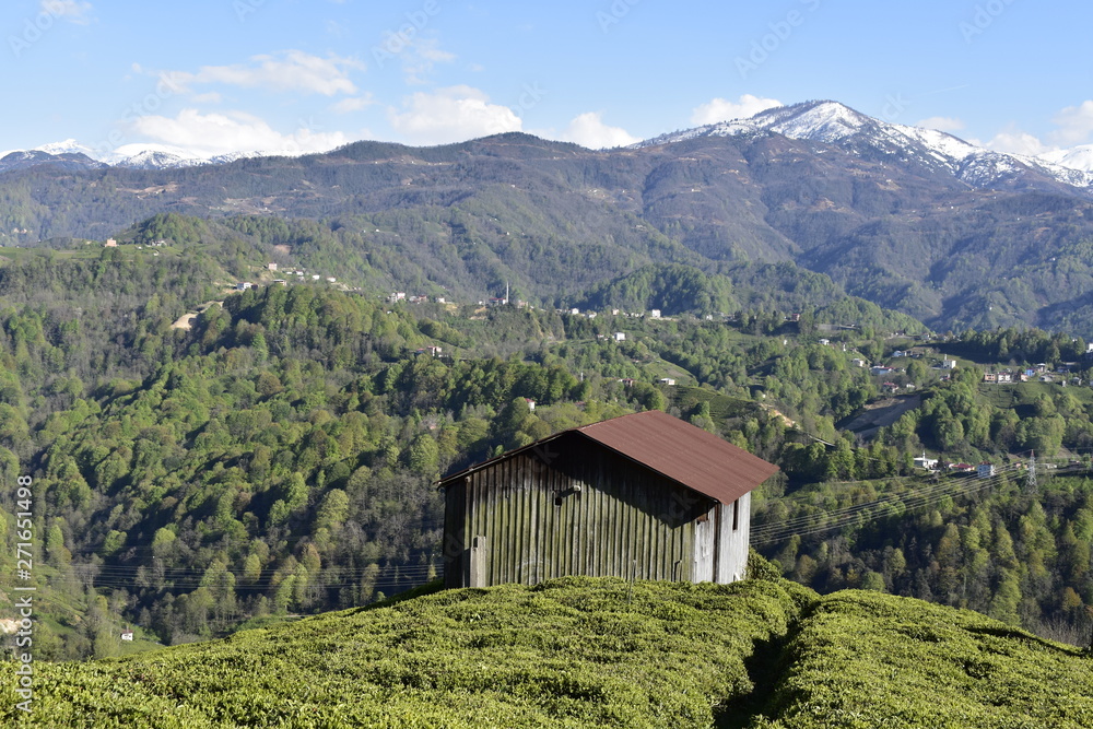 house in the mountains