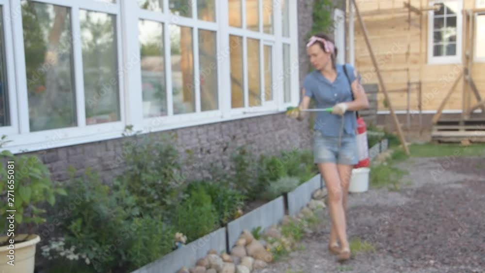 the girl gardener treats flowers with fertilizer the girl gardener treats flowers with fertilizer