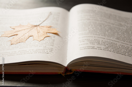 An open book is on the table. On a dark background. Close-up. Maple Leaf as a bookmark