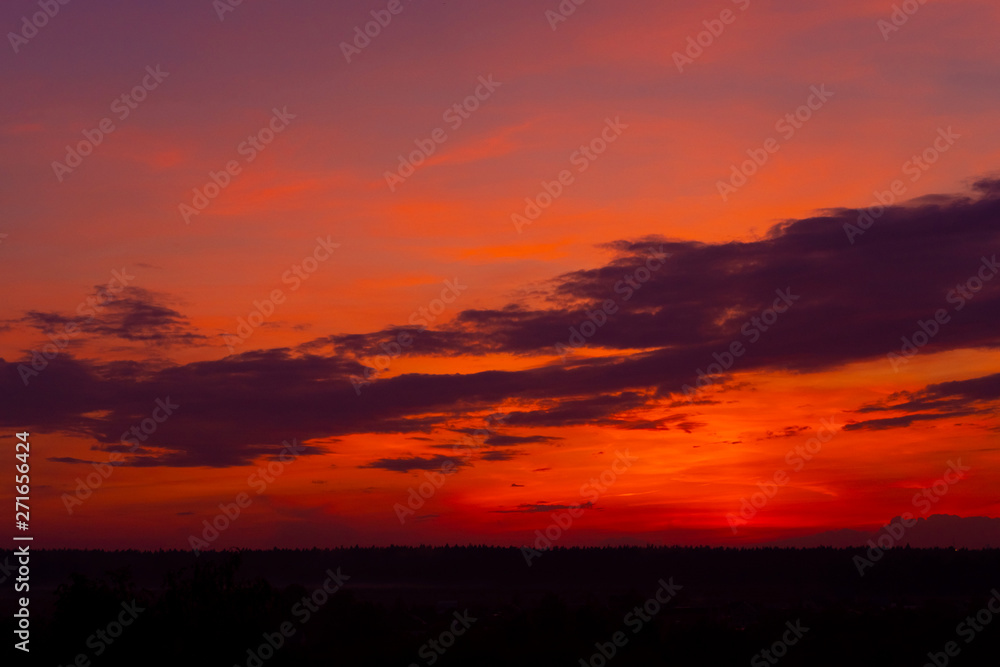 Red sunset forest landscape. Nature horizontal scenery. Picturesque, scenic view background. Vibrant colorful dusk, dawn. Natural wilderness, late night travel. Meeting sunrise outdoors Red sunset forest landscape. Nature horizontal scenery. Picturesque, scenic view background. Vibrant colorful dusk, dawn. Natural wilderness, late night travel. Meeting sunrise outdoors