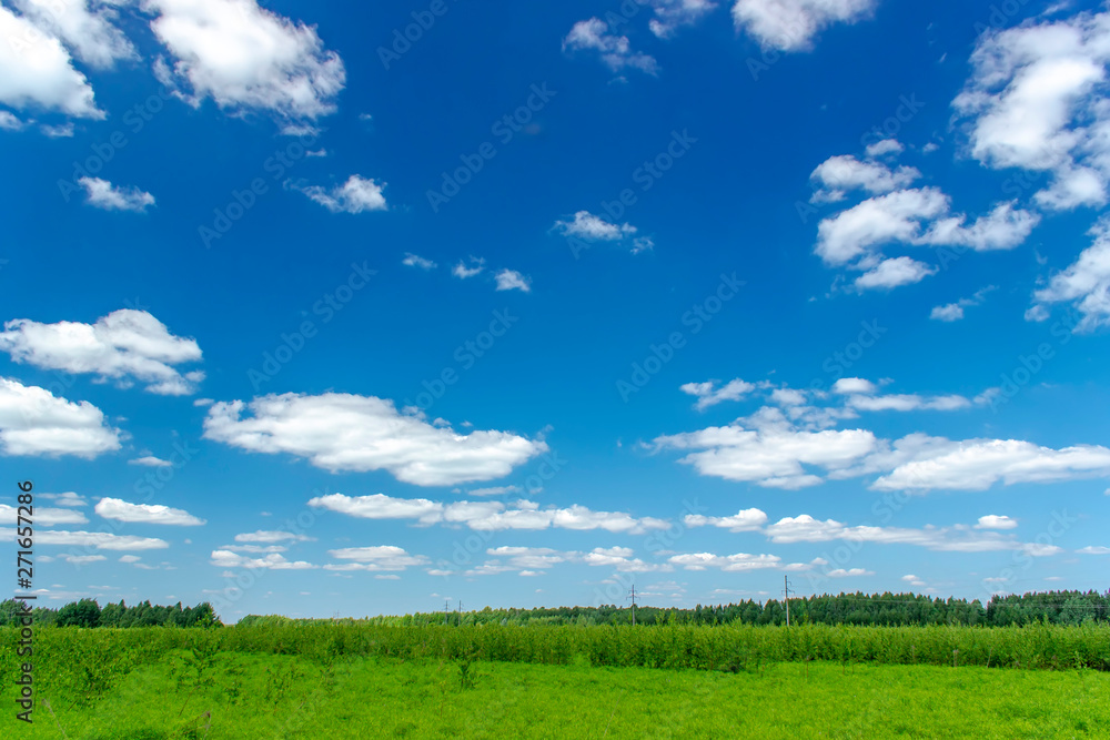 Beautiful summer landscape with green grass and blue sky with white clouds. Beautiful summer landscape with green grass and blue sky with white clouds.