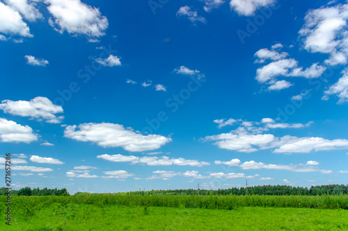 Beautiful summer landscape with green grass and blue sky with white clouds.