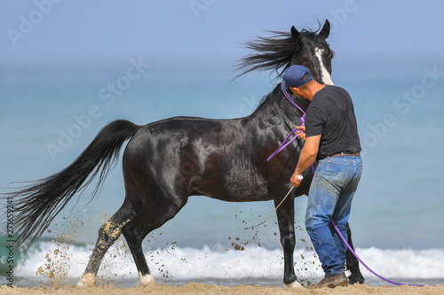 Man is training his horse on the sea beach