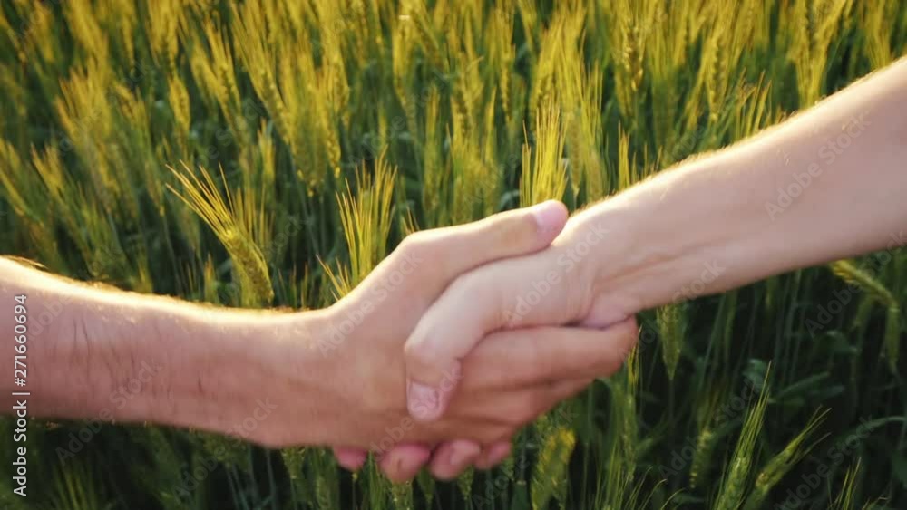 Two farmers shaking hands against the background of a wheat field