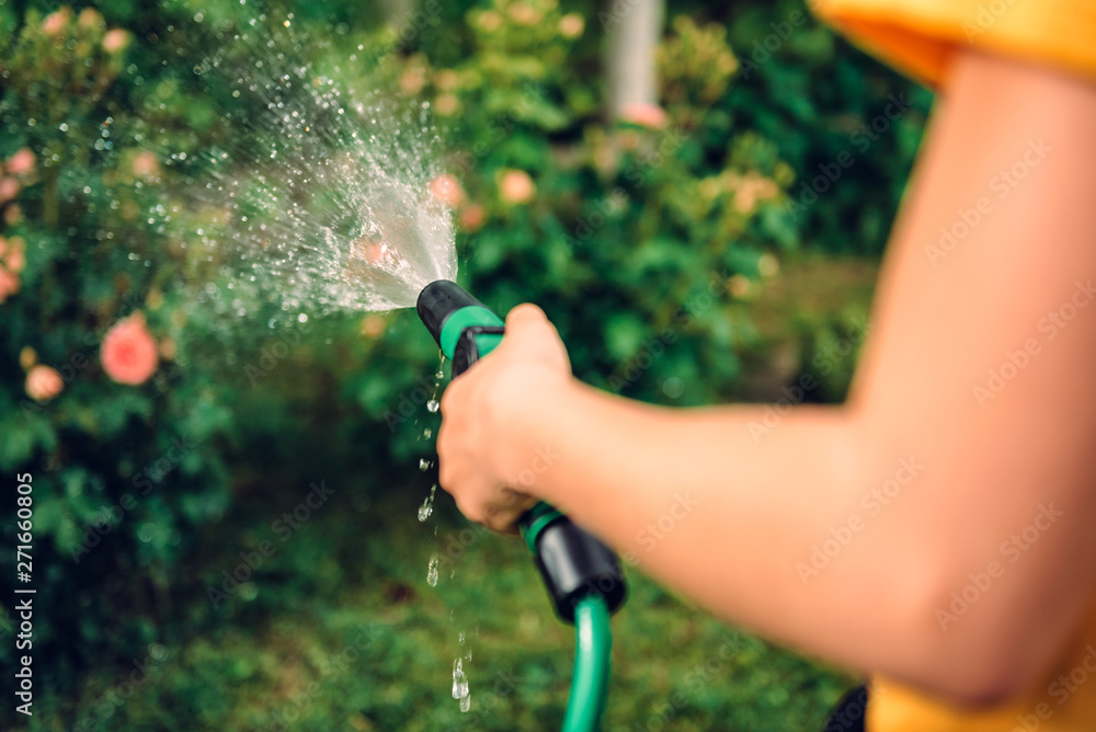 Watering garden with hose sprinkler - obrazy, fototapety, plakaty 