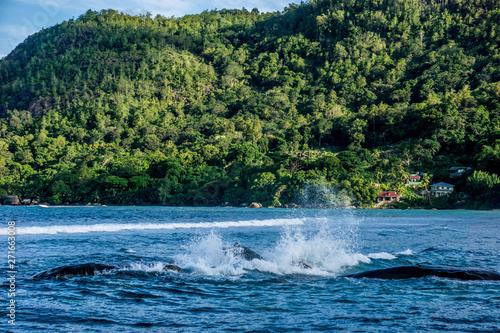 Seychelles Beach