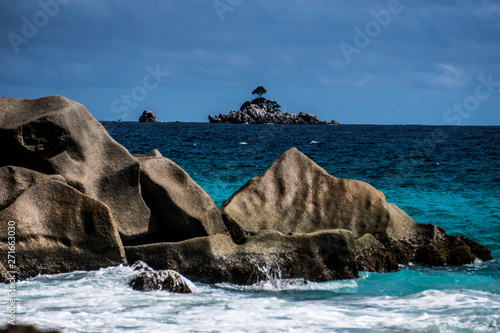 Seychelles Loneley Tree photo