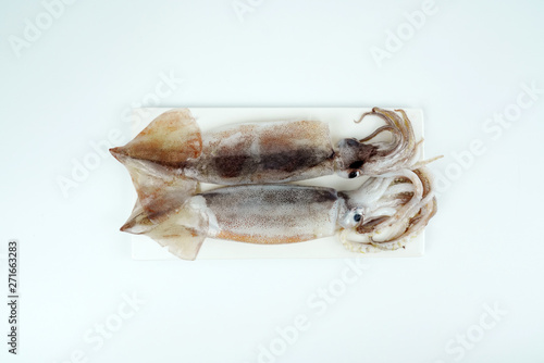 Fresh squid, Delicious squid isolated on color background