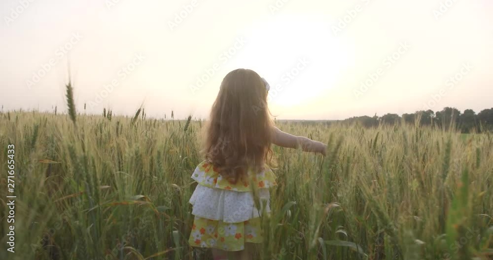 Girl runs away in a field of wheat Girl runs away in a field of wheat