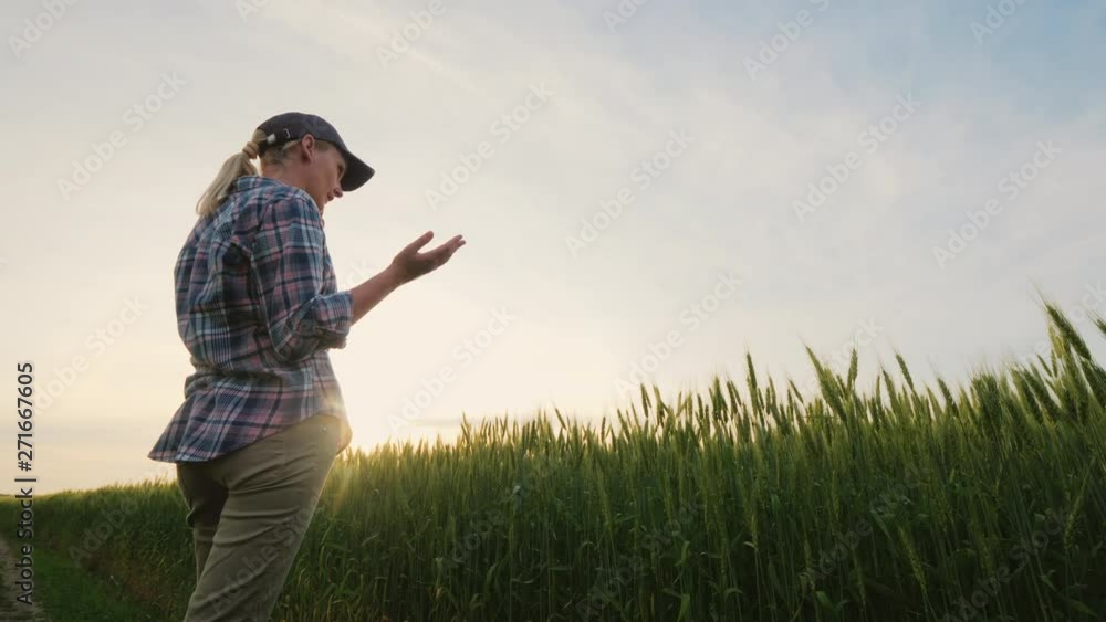 Woman farmer talking on the phone, standing in a picturesque place near a wheat field Woman farmer talking on the phone, standing in a picturesque place near a wheat field
