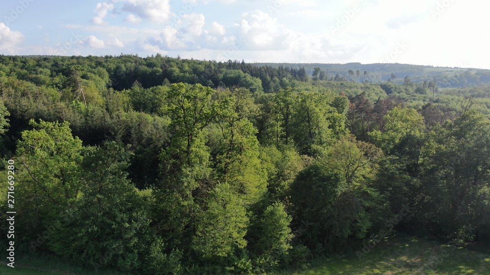 Wald (mittel)