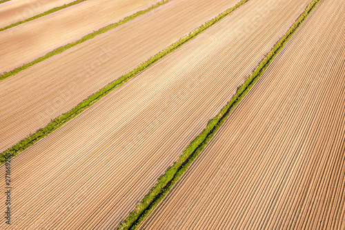 Plowed agricultural field a...