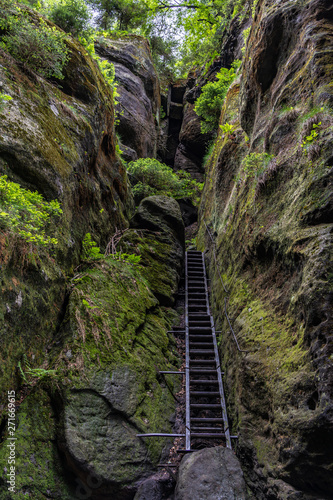 Φωτογραφία wild hell trail in saxon switzerland, germany