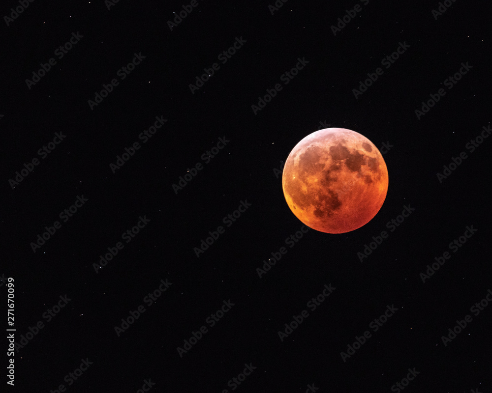 Fototapeta premium Blood Moon