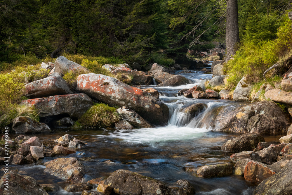 Small waterfall in the Krkonose National park Sumava, Certova Strouha, Czech Republic