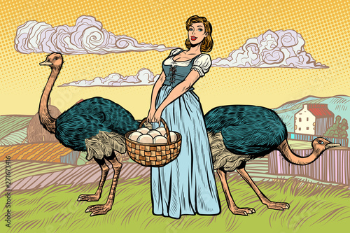 ostrich farm eggs. woman peasant farmer