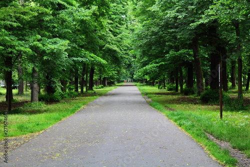 Road for running in the Monza park