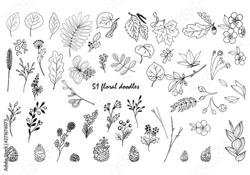  Set of 51 hand drawn doodles, sketch. Botanical illustration. Different leaves and berries outline isolated on the white background..