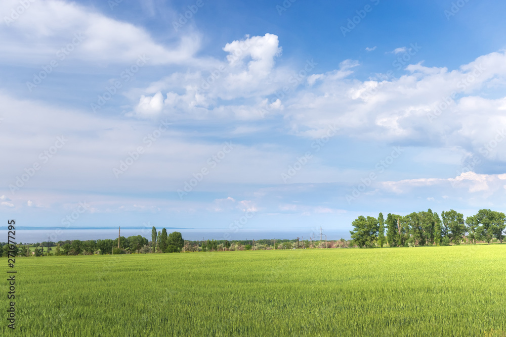 agriculture view from far away / fields of Ukraine beautiful summer Sunny day