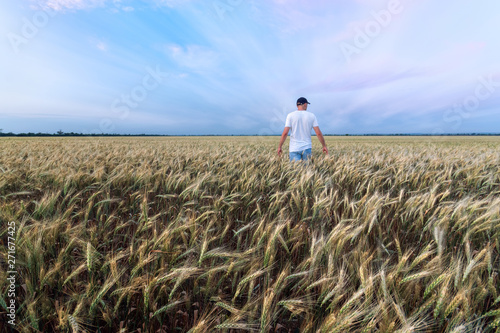 man standing on wheat field / pre-dawn unusual clouds