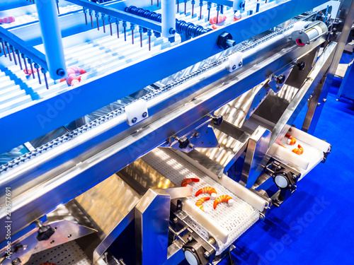 Food industry. Conveyor for processing sea products. Shrimp conveyor. Shock freezing shrimp. Production of frozen semi-finished products.