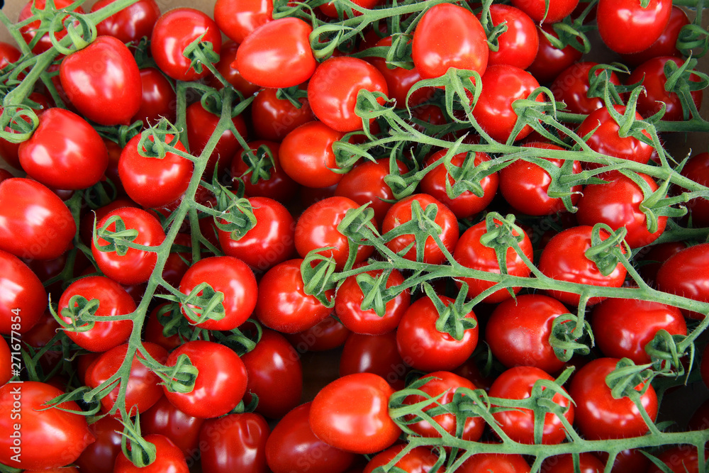Delicious red tomatoes. Summer tray market agriculture farm full of organic vegetables Delicious red tomatoes. Summer tray market agriculture farm full of organic vegetables