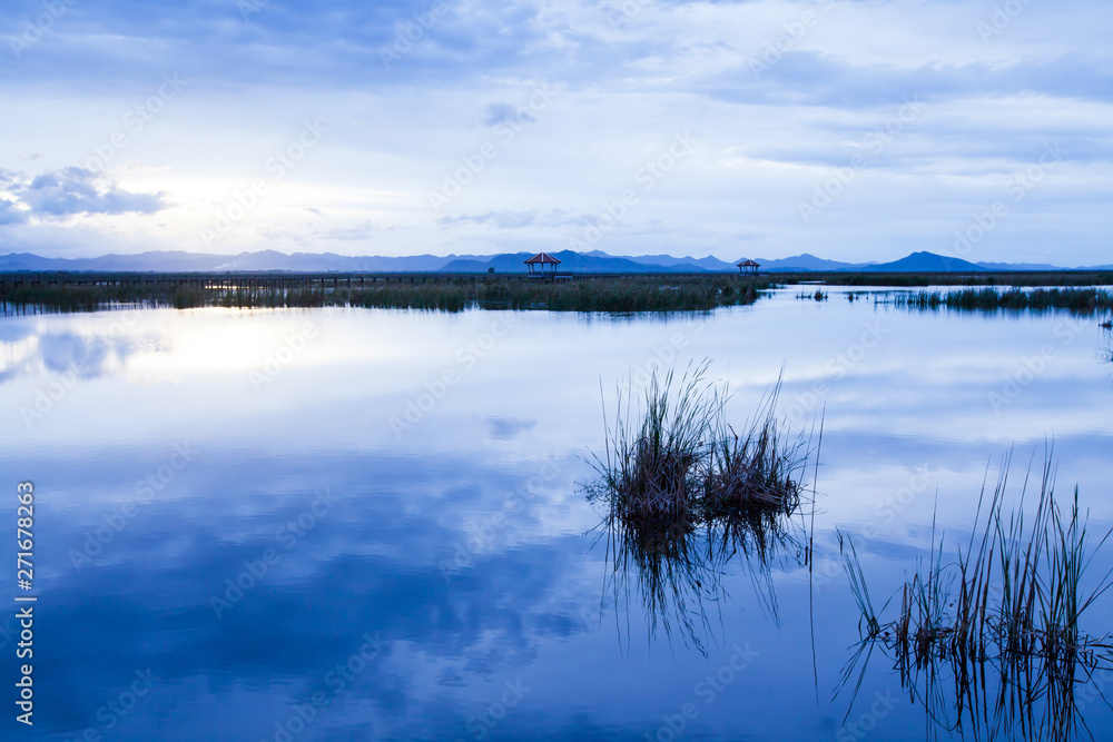 Fototapeta premium A tranquil scenery of blue lake at dusk.