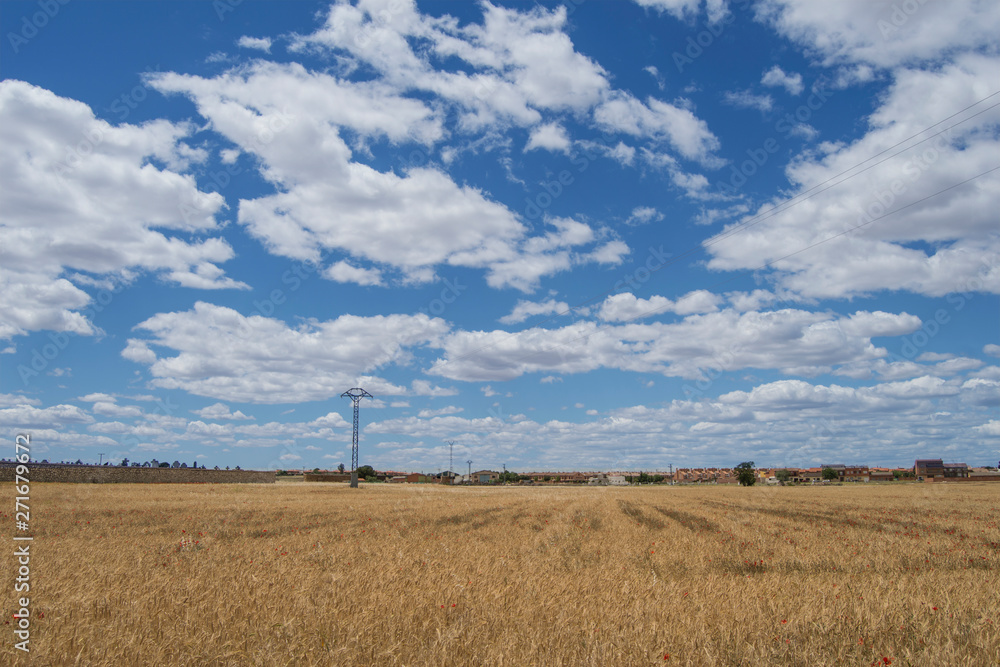 A dry field in summer with sky covered with clouds in Torrijos, province of Toledo. Castilla la Mancha. Spain