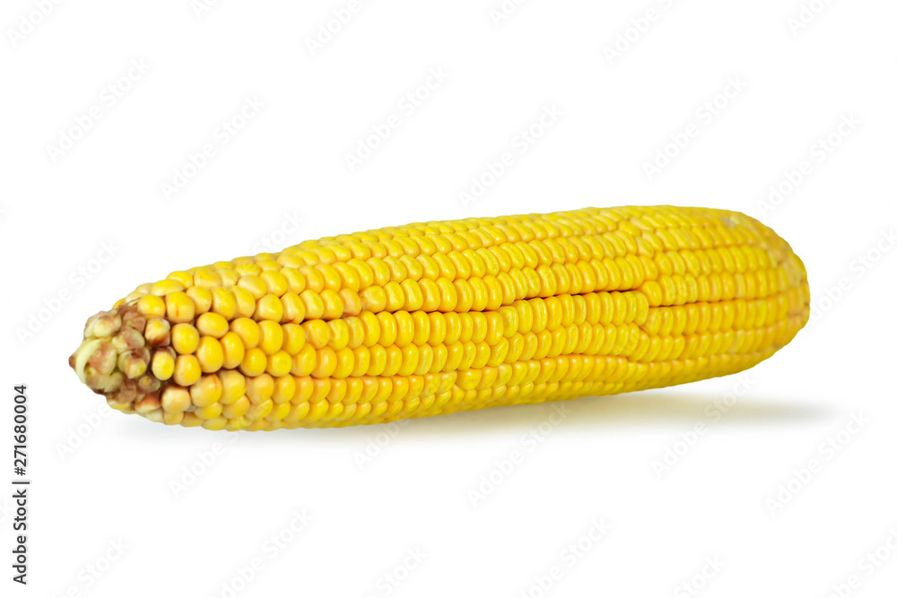 Corn isolated on white background Corn isolated on white background