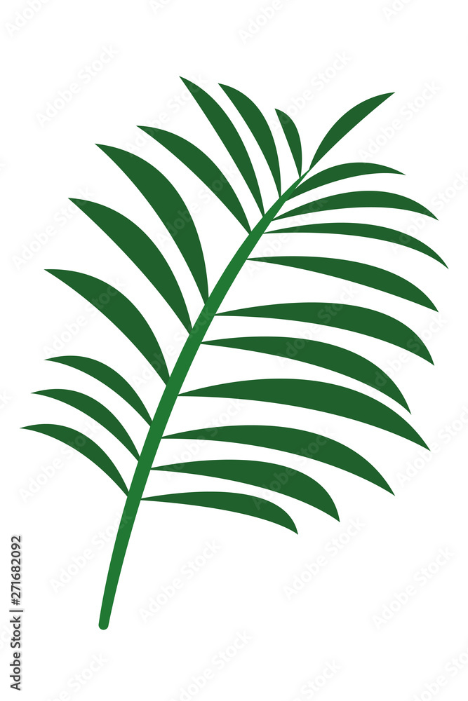 Tropical palm leaf nature cartoon