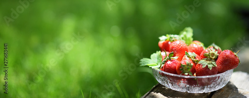 Strawberries in crystal bowl, background banner, green grass, sunny day photo