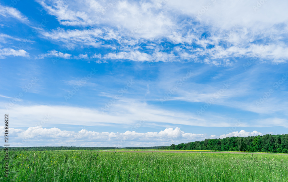 Field view, sky, clouds. Landscape. Horizon.