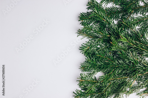 Fir tree branches on white background with copy space.