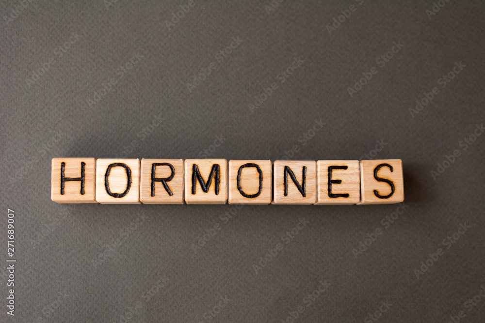 the word hormones wooden cubes with burnt letters, the value of hormones in the human body, gray background top view, scattered cubes around random letters the word hormones wooden cubes with burnt letters, the value of hormones in the human body, gray background top view, scattered cubes around random letters