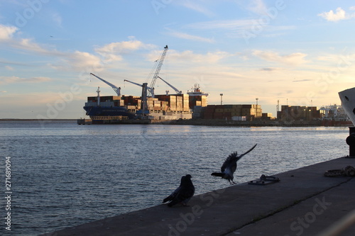 port and dove